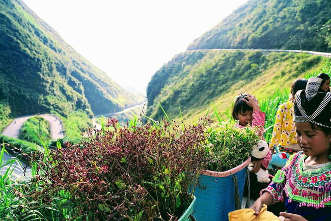 Những em nhỏ vùng cao xuất hiện bình yên trong khung hình của nhà báo Matija Babic. (Nguồn ảnh: afamily.vn)